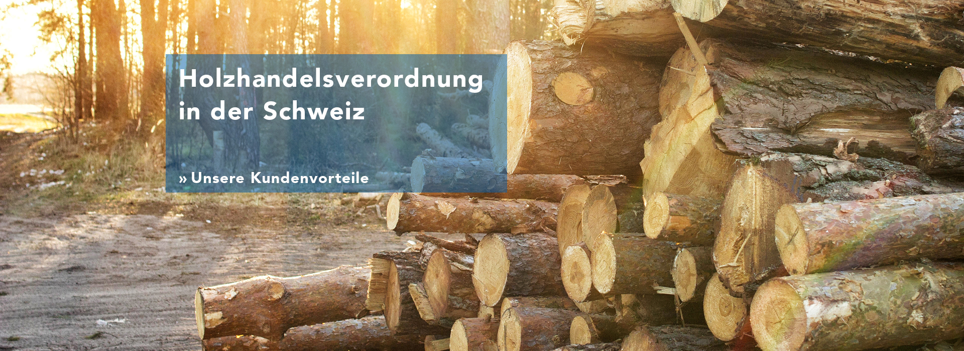 Holzhandelsverordnung in der Schweiz